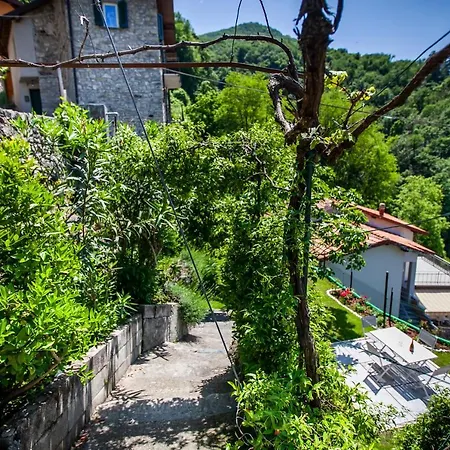 Il Giardino Di Nesso